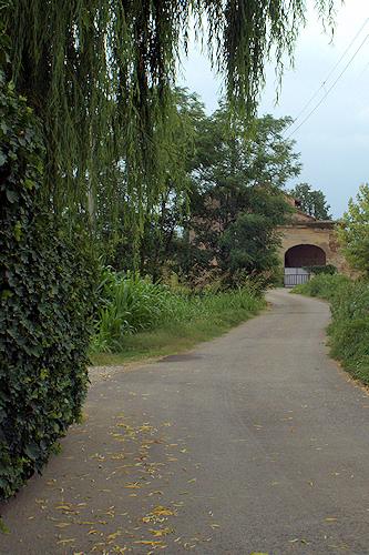 La strada per la cascina Cantarana